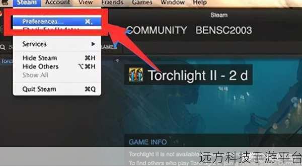轻松搞定！电脑 Steam 显示界面中文设置指南