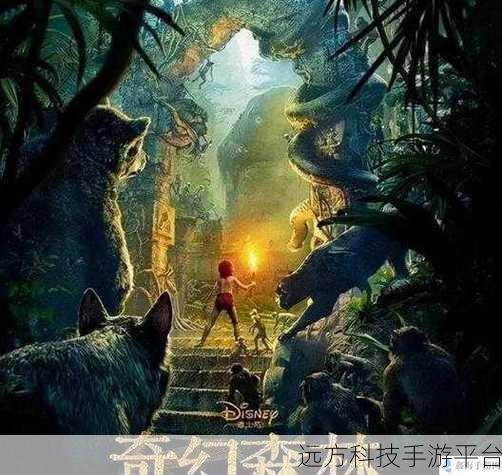 探索软件开发神秘之旅,步骤全解析