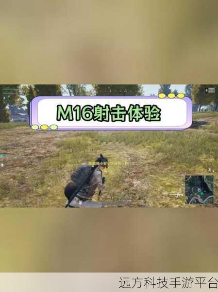 单机版绝地求生，离线也能畅享的射击盛宴