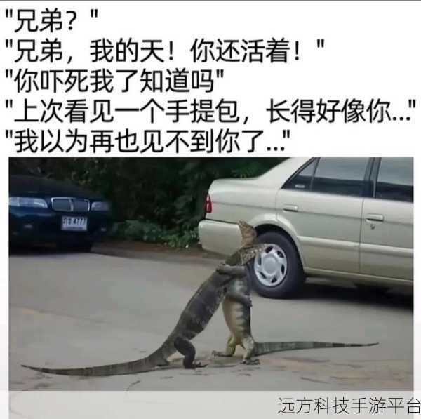 轻松一刻，乐享指尖——探索编个笑话的欢乐世界