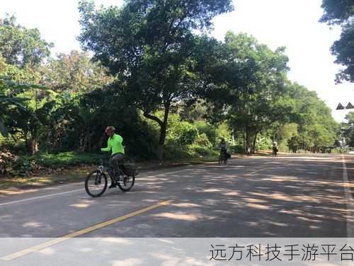 城市交通极限挑战,解锁你的驾驶激情之旅