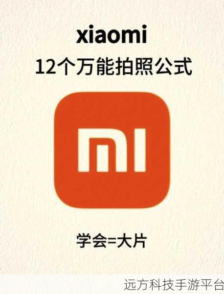 轻松掌握手机图片镜像翻转的奇妙技巧