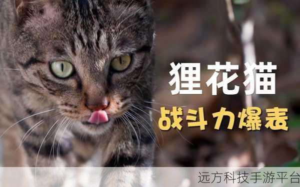 战斗力爆表，休闲闯关新宠儿，手机版下载指南