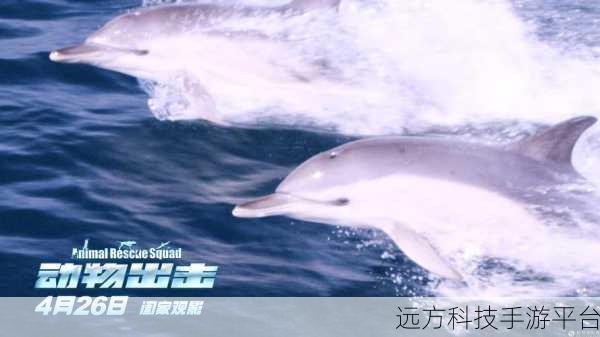 萌宠出击!小猫奇妙冒险记带你领略趣味闯关新境界