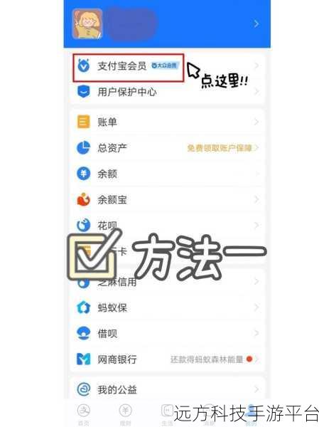 轻松掌握,支付宝免费提现额度查询秘籍