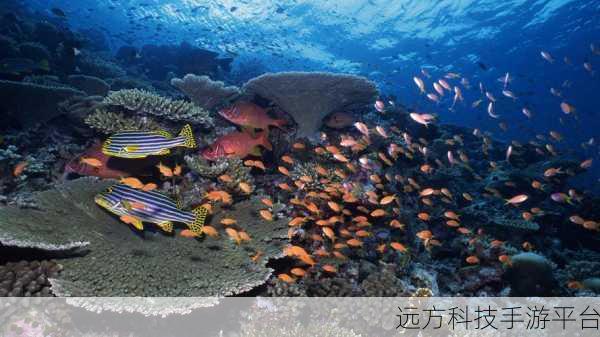 像素鱼2进化,探索深海奥秘,吞噬成长之旅