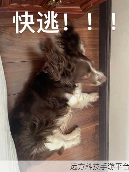 小狗狗快逃，萌宠竞技，欢乐无极限的游戏盛宴