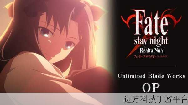 Fate Stay Night Realta Nua2.1.10，次元格斗新纪元，冒险之旅即刻启程