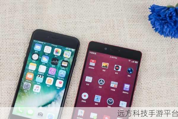 诺基亚 7 Plus 与坚果 Pro2 的全方位大比拼