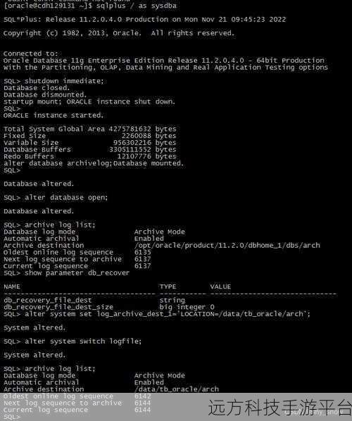 轻松掌握，Oracle 数据库自动归档开启秘籍