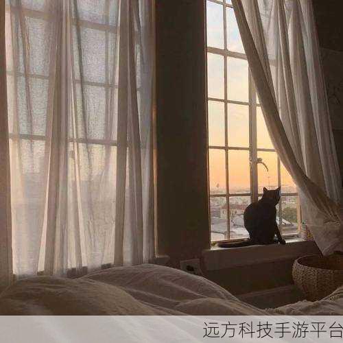微信聊天背景图设置秘籍，打造个性交流空间