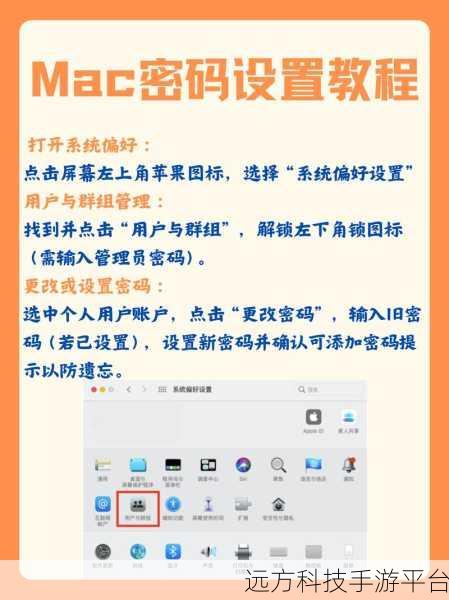 轻松掌握 Win11 开机密码设置，守护你的电脑安全