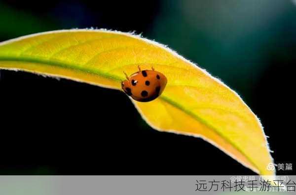 翻转汽车,解锁休闲益智新乐趣,下载即享无限翻转快感