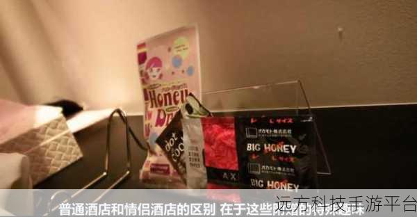 探寻神秘的 tt606983776 房间号背后的秘密