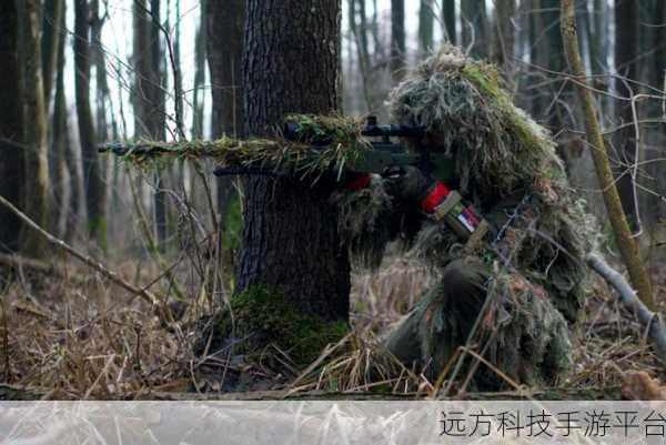 狙击手隐藏目标，沉浸式射击体验，等你来战！