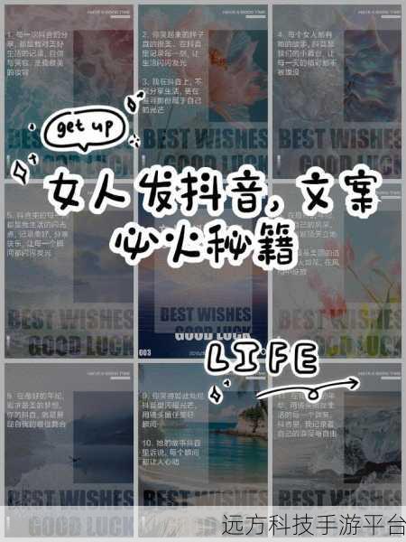 抖音创意秘籍,一张图片一段文字的奇妙组合攻略