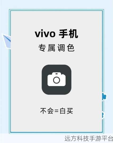 轻松掌握 vivo 手机屏幕分辨率调节秘籍