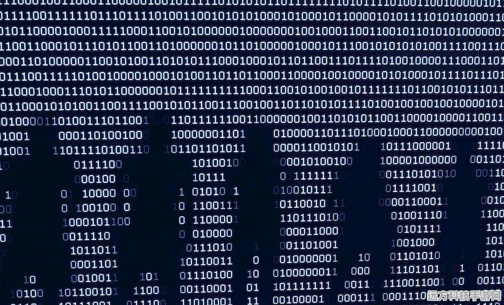 揭秘数字背后的秘密，2进制编程133344码组的独特魅力