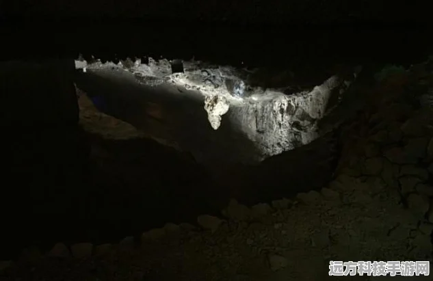 炉石传说胜地历险记，圣骑士卡组搭配全攻略