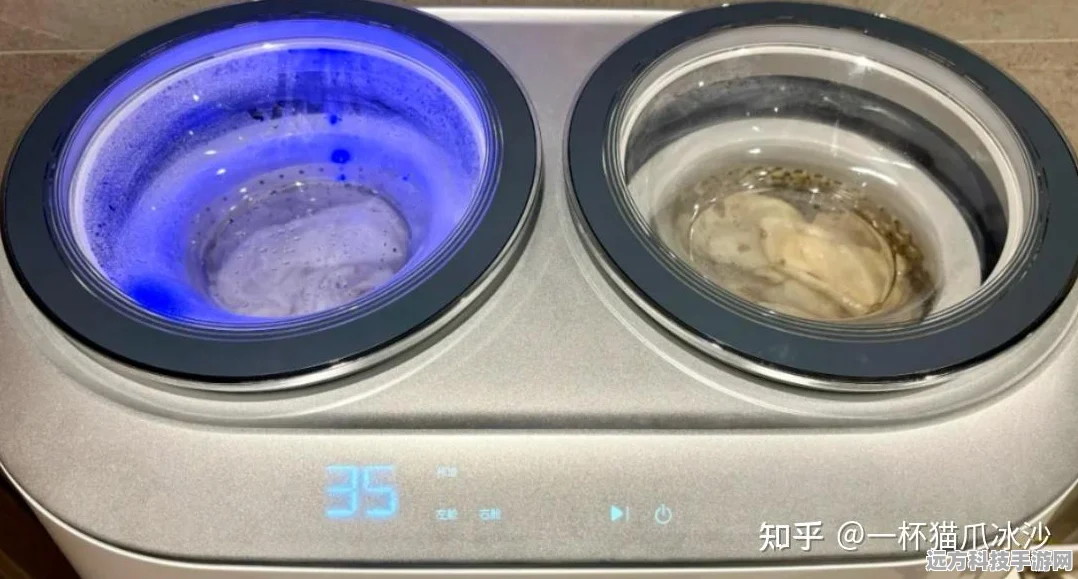 小熊电器双舱洗衣机，解锁手游玩家高品质洗护新篇章