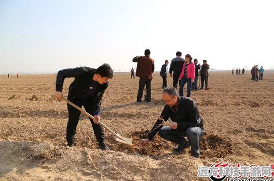 我的世界，揭秘高效种植奥义，探索种树间距的奇妙艺术