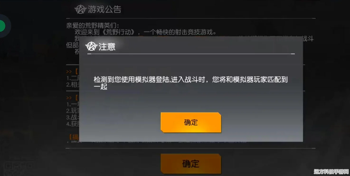 王者荣耀内存不足之谜，深度剖析与解决之道