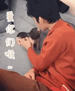 迷你西游取经玩法全攻略，助你轻松踏上取经之路