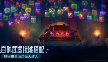 重生细胞起源细胞，生命奥秘的核心钥匙