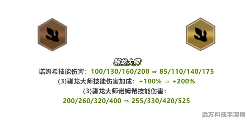 云顶之弈热门阵容揭秘，幽影龙变阵全攻略
