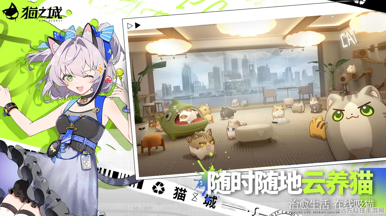 轻松掌握猫之城小音涂鸦评级刷取秘籍