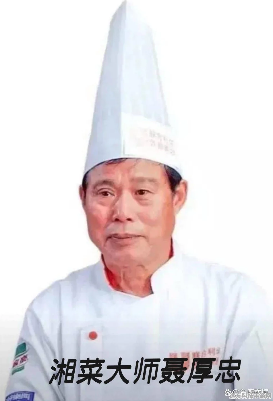 江湖悠悠，解锁8级菜谱，成就烹饪大师的资源管理艺术