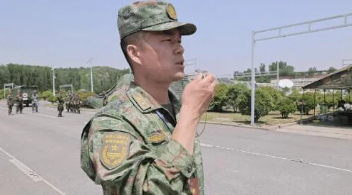战地模拟器免费版震撼来袭，无限枪械畅享射击盛宴
