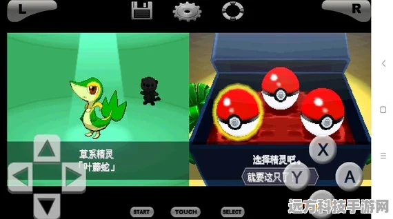 口袋妖怪黑白版，顶尖PM精选，打造你的梦幻阵容