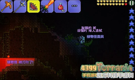 泰拉瑞亚巨龙套装深度剖析，获取秘籍与属性威力全公开