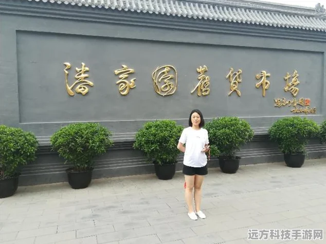 探秘停车场王者之路，开出停车场模拟器游戏下载全攻略