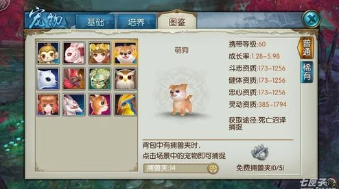 诛仙手游稀有花魅捕捉全攻略，如何驯服这朵灵动之花