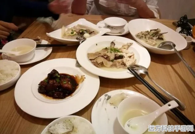 探秘桃源深处有人家的神奇食来运转菜谱
