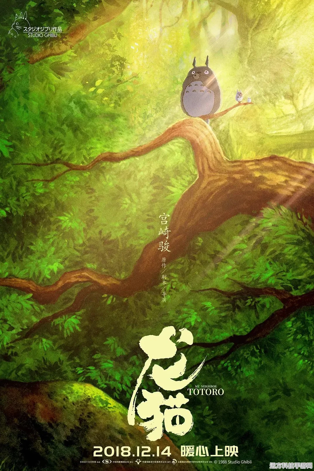 探索创造与魔法，阳光龙猫获取秘籍与兑换码大公开