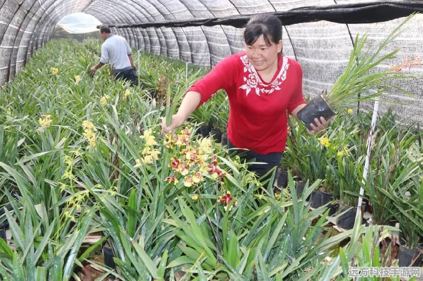 口袋妖怪叶绿版深度探索，幽灵塔通关全攻略