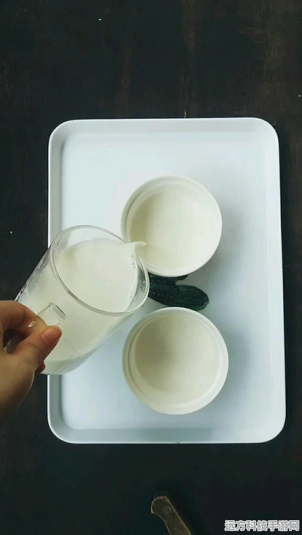 夏日炎炎，食物语冷食盛宴，解锁消暑乐趣的全方位攻略