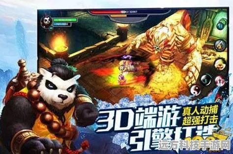 太极熊猫枪手与武神，强强联手，战无不胜的组合深度剖析