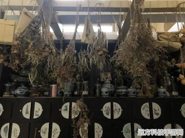 探索药草培育花坊的奇妙世界