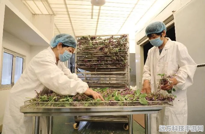 探索药草培育花坊的奇妙世界