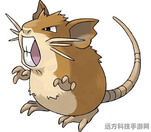 深入探究口袋妖怪复刻拉达种族值的奥秘