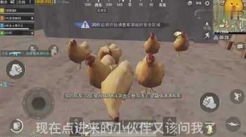绝地求生刺激战场捉鸡秘籍，鸡群出没地点大揭秘