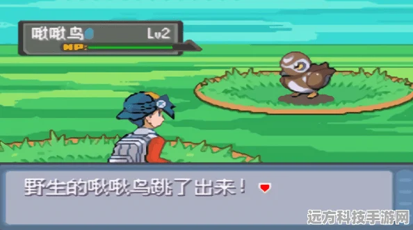 口袋妖怪时空战歌汉化归来，经典与创新的完美碰撞