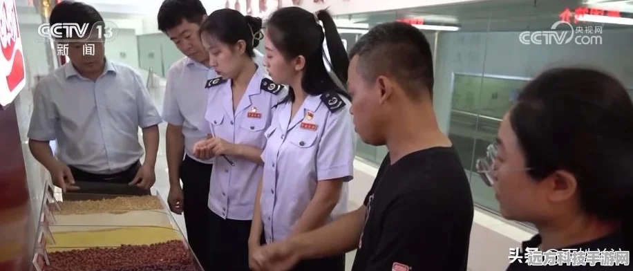 轻松搞定个人所得税手机号变更秘籍