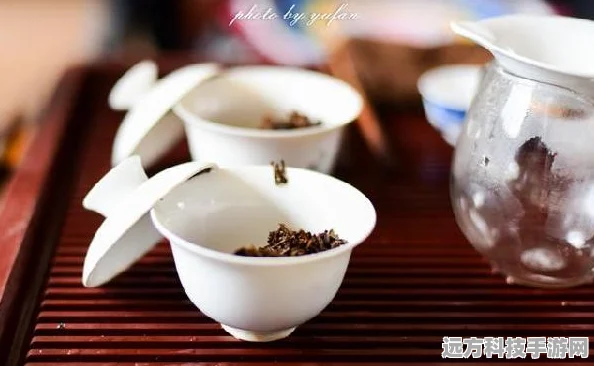 探索桃源深处，六级茶饮配方全揭秘