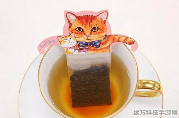 猫汤物语免费开放，打造你的梦幻猫咪咖啡馆