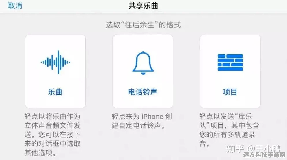 轻松掌握，苹果设置来电铃声的绝妙秘籍与 95 句精选